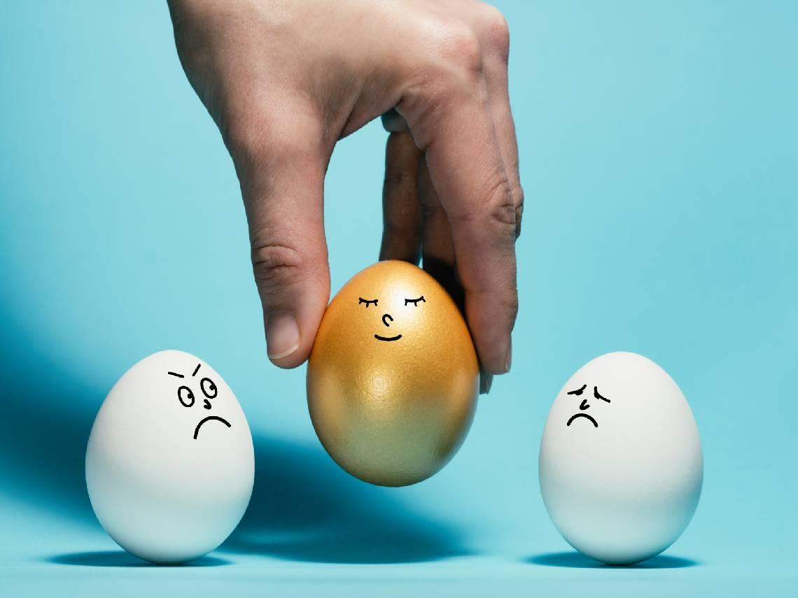 0056、00919、00918...盤點2025年高股息績效，它報酬率26.3％奪冠！最新配息0.91元，殖利率狂飆16％